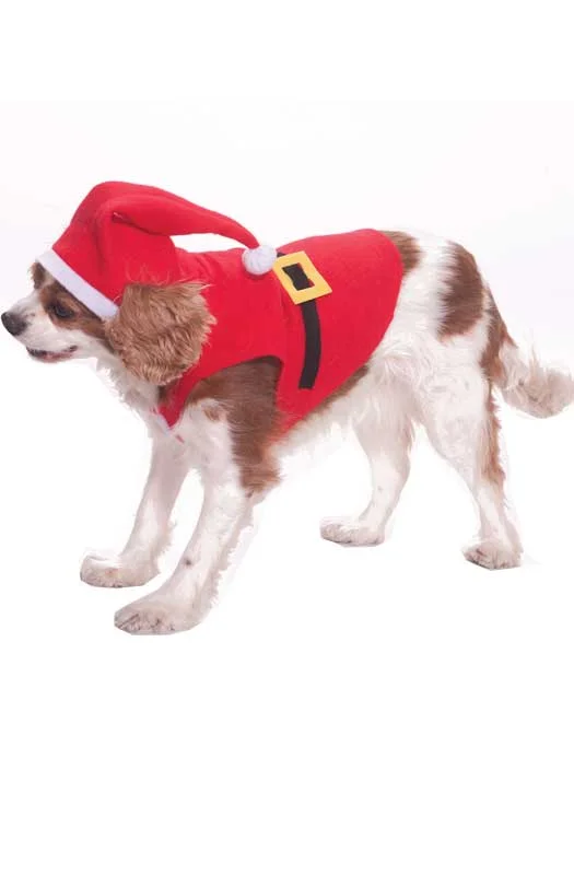 ---Jolly Little Santa Pet Dog Costume