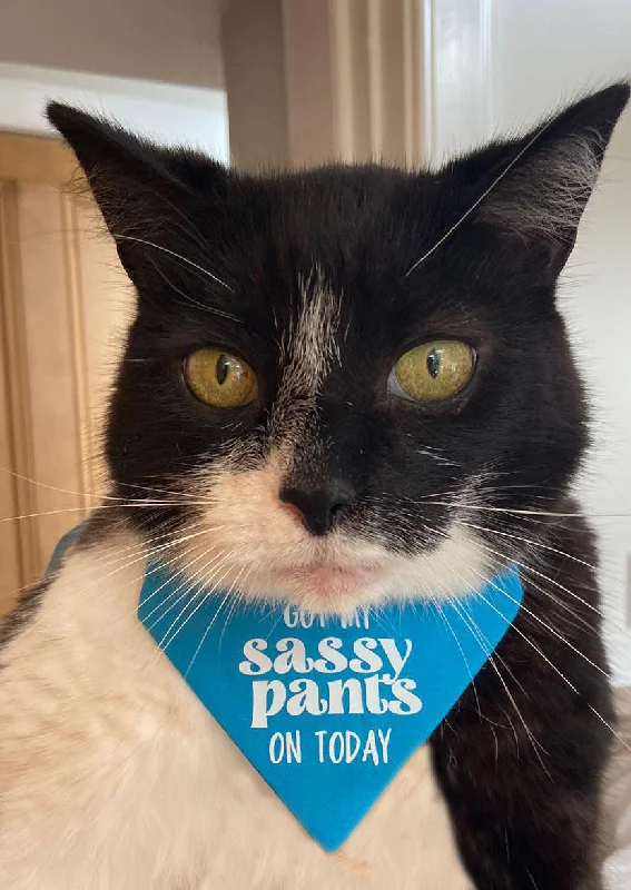 - Degradable pet feces bagCAT BANDANA! Sassy Pants