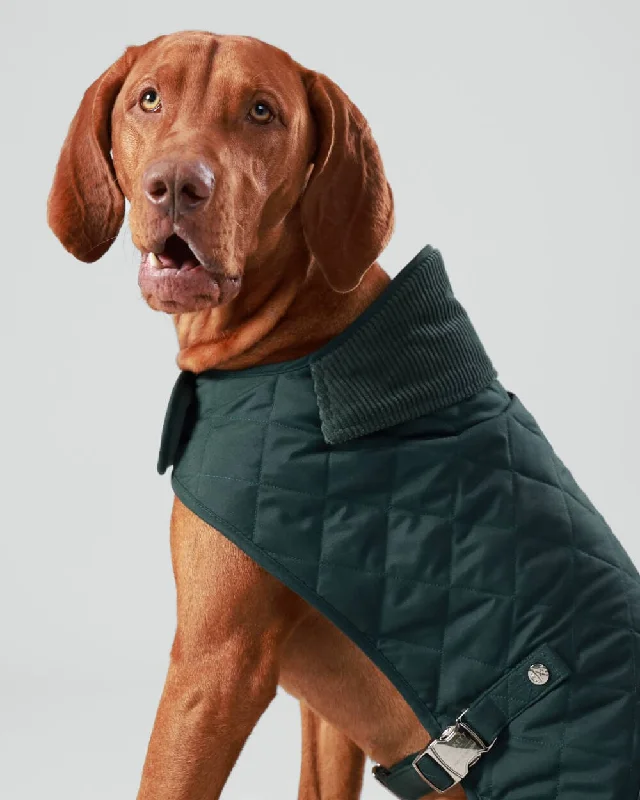 - Solid wood cat climbing frame customizedForest Green Quilted Dog Jacket