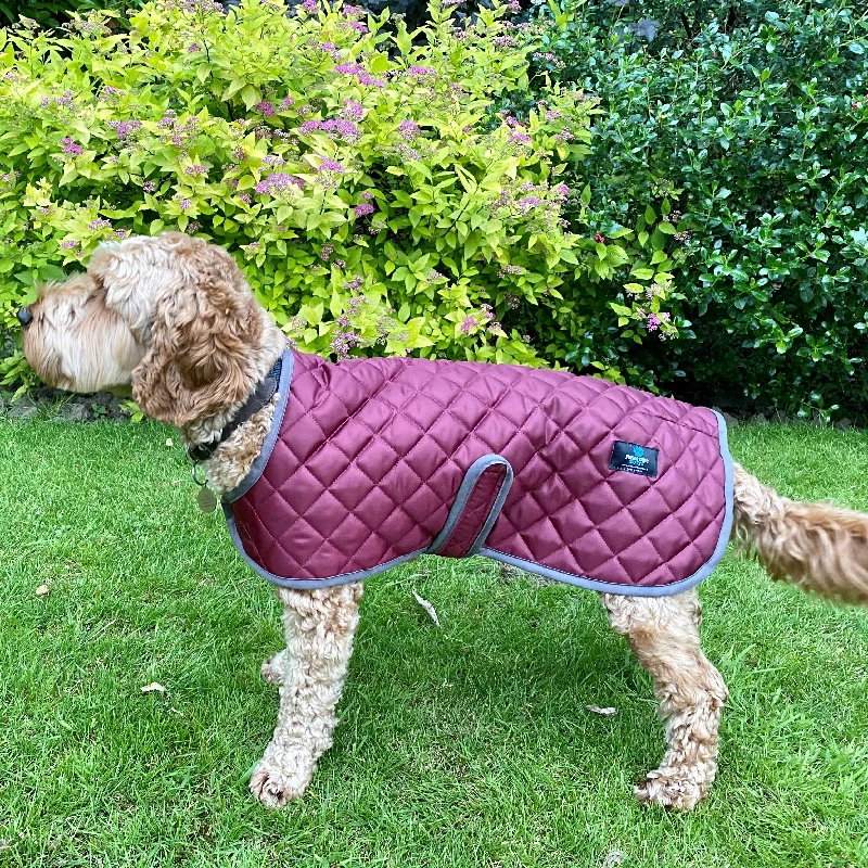 - Chinchilla cooling ice nest ceramic plateQuilted Lightweight Dog Raincoat