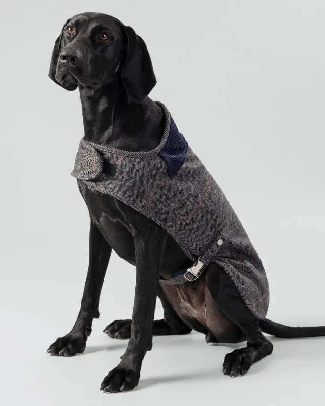 - Postoperative pet anti-licking Elizabethan collarGrey Checked Herringbone Tweed Dog Jacket
