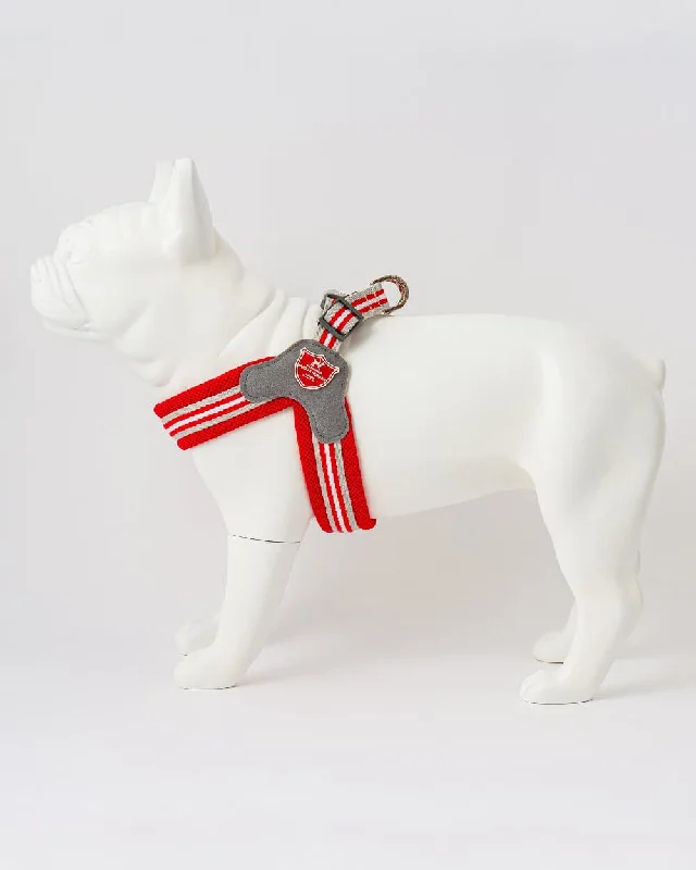- Summer pet ice matEasy Walk V Dog Harness - Red