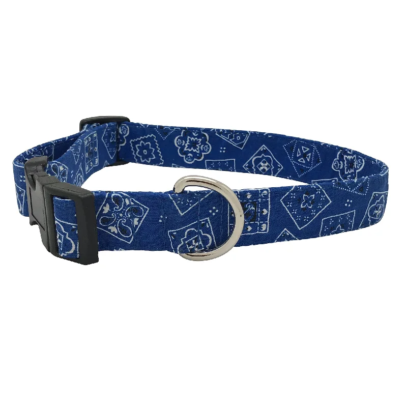 - Pregnant cat delivery room warming boxBlue Bandanas Breakaway Cat Safety Collar