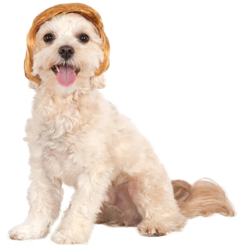 - Pregnant cat delivery room warming boxPawlitical Billionaire Wig Pet Costume